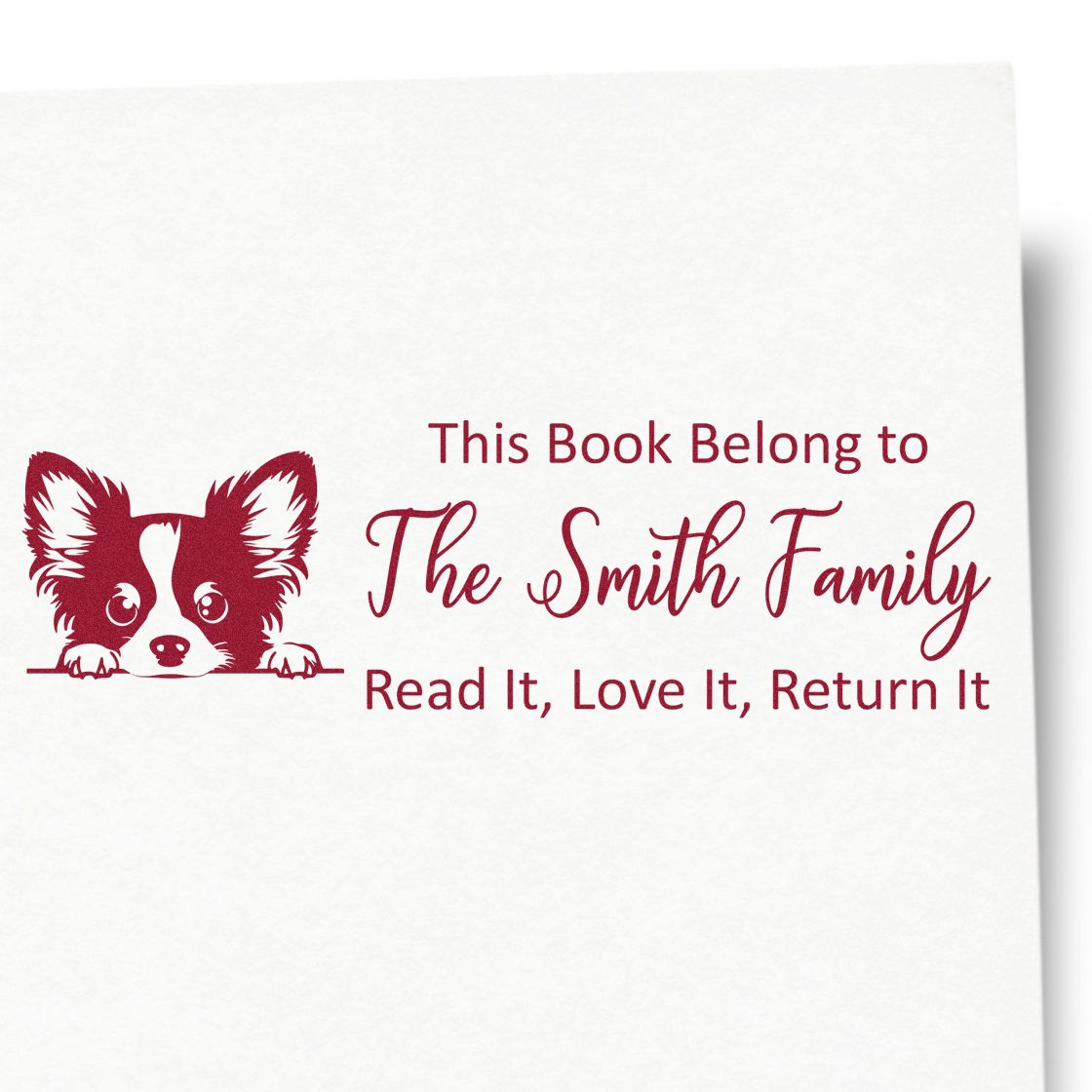 Personalized book rubber stamp with corgi design and This Book Belongs to The Smith Family text for book labeling.
