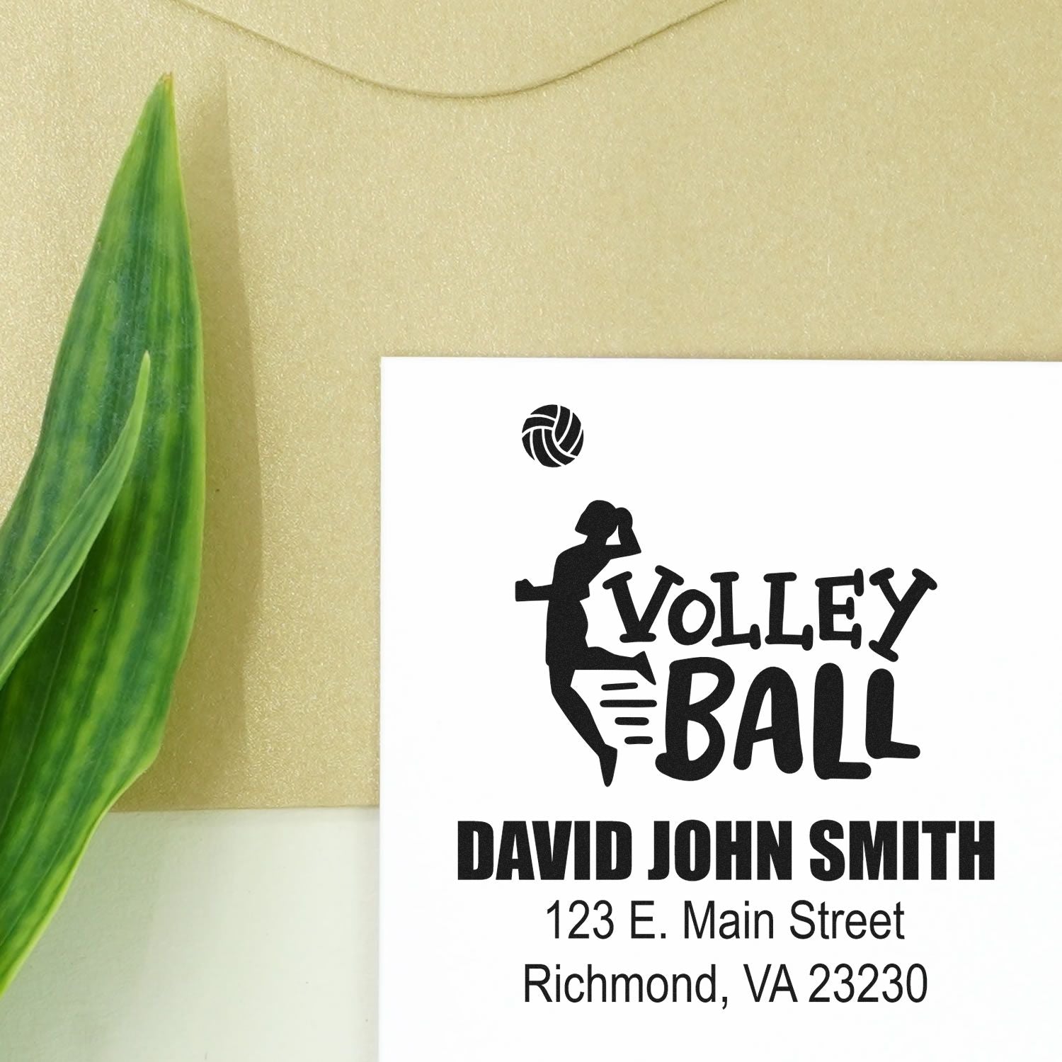 Custom volleyball return address rubber stamp for David John Smith, Richmond, VA 23230.
