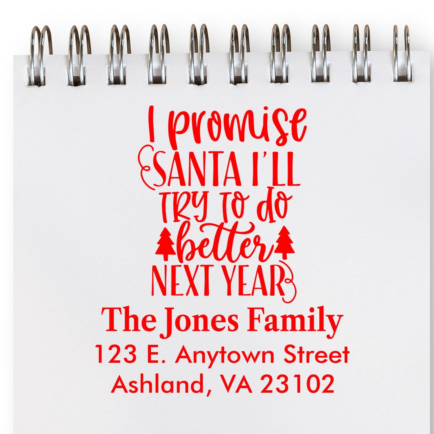 Custom holiday address rubber stamp with I promise Santa Ill try to do better next year for Christmas cards.