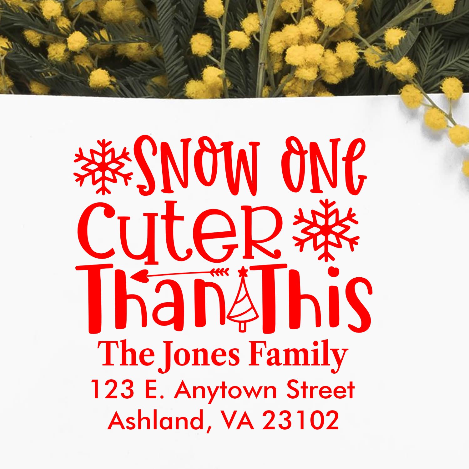 Custom Christmas return address stamp with Snow One Cuter Than This design, Jones Family name, and address.