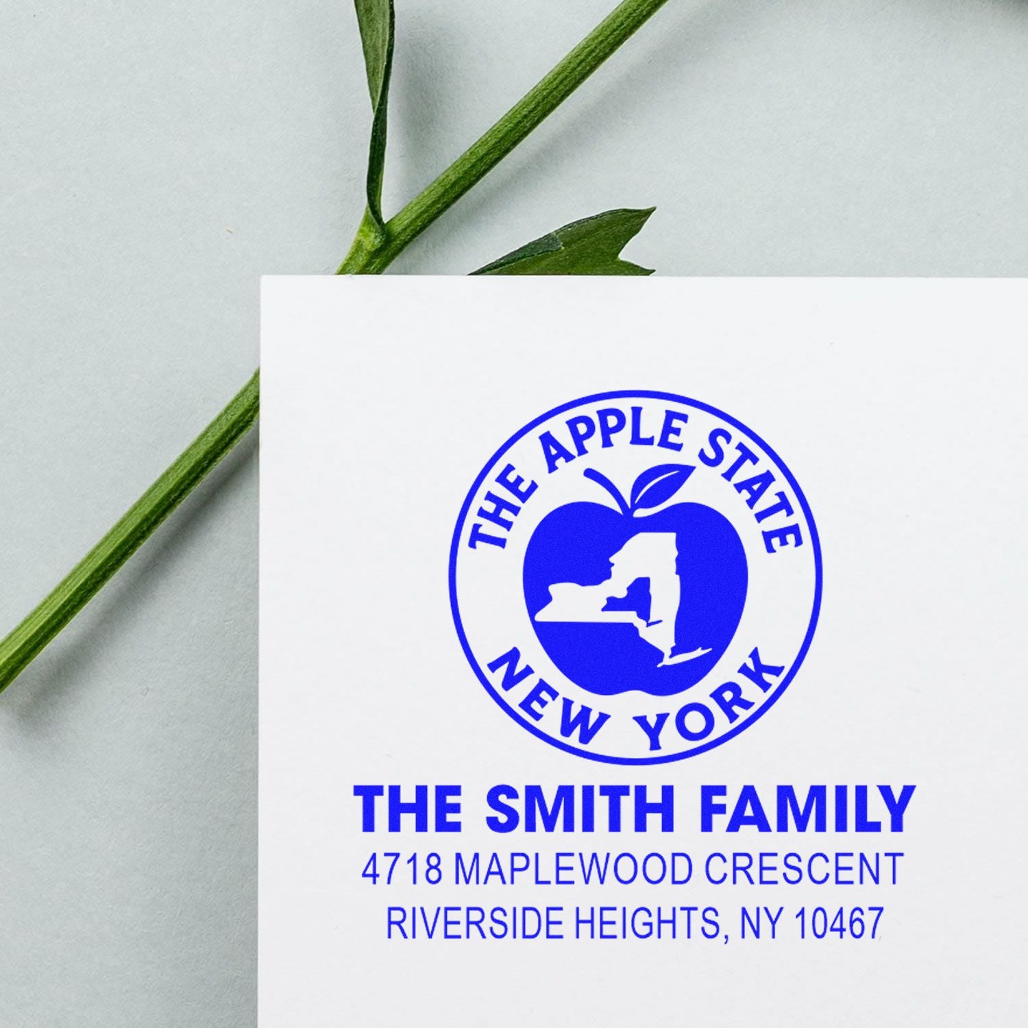 Custom return address rubber stamp with The Smith Family, New York apple state logo, and Riverside Heights address.