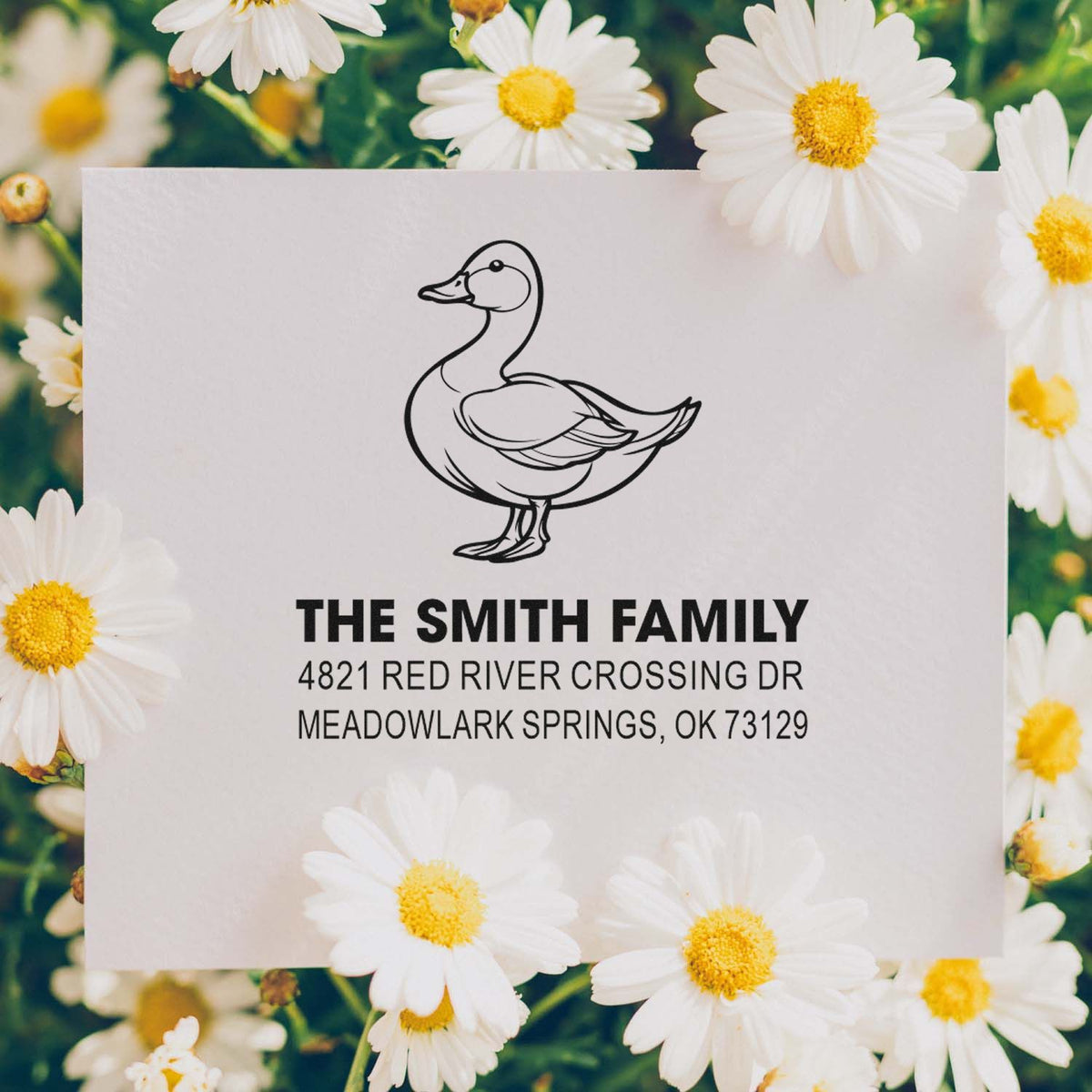 Custom rubber stamp with duck illustration, family name and return address, surrounded by daisies, ideal for personalized mailing and stationery.