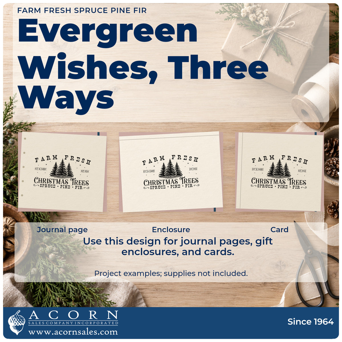 Three project examples made with the Farm Fresh Spruce Pine Fir With Stars Stamp – Slim Pre-Inked, including strip layout sheet.