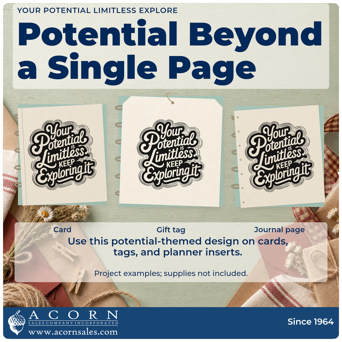 Three project examples made with the Your Potential Limitless Explore Compact Pre-Inked Stamp – Slim, including day theme sheet.