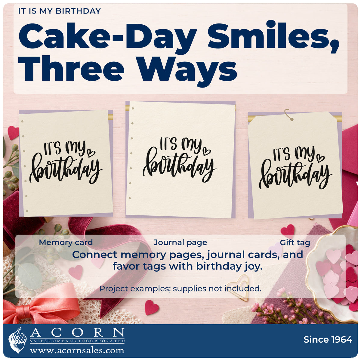 Three project examples made with the It Is My Birthday Slim Pre-Inked Stamp, including day plan sheet.