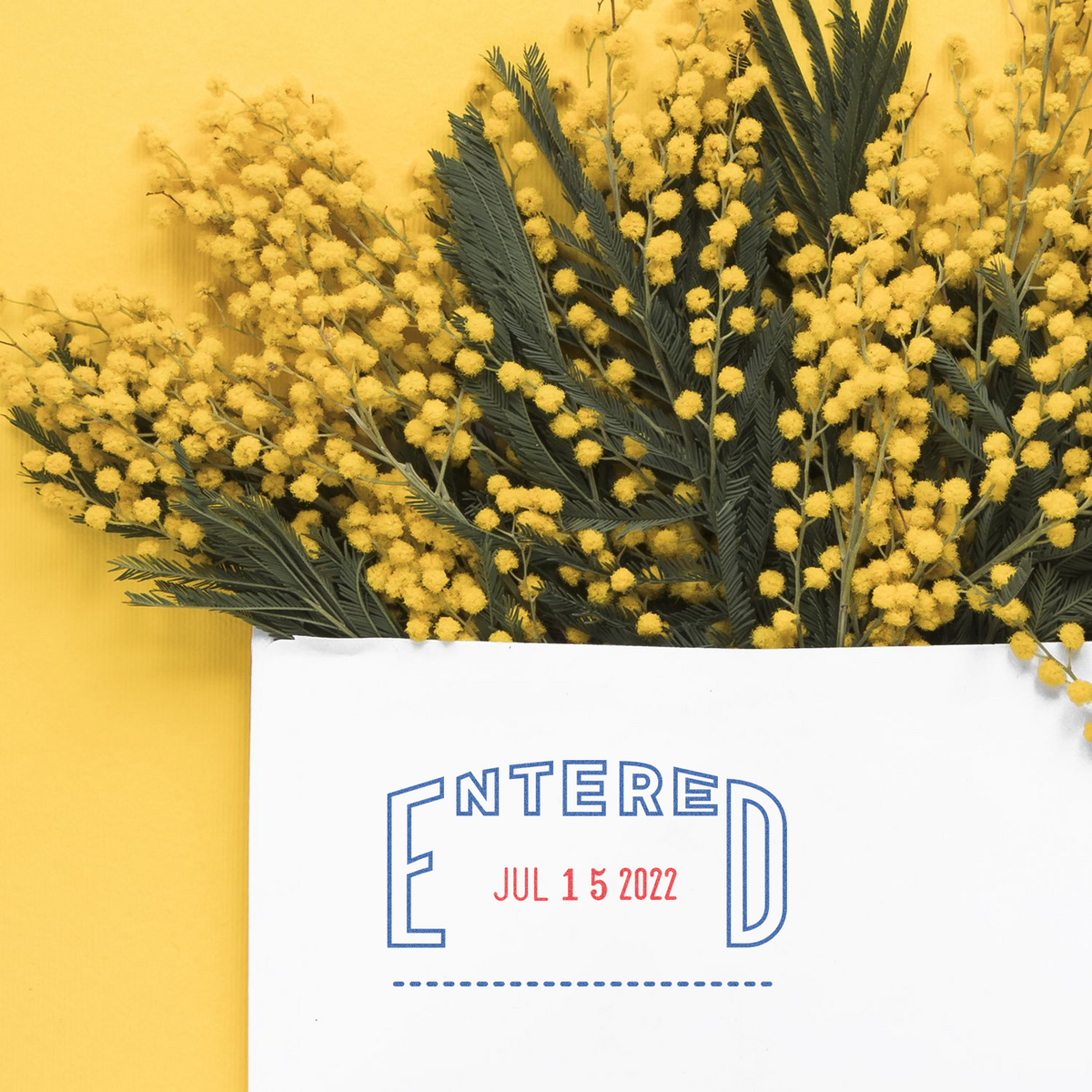 Yellow mimosa flowers in a white gift envelope with Entered Jul 15 2022 text on a bright yellow background.