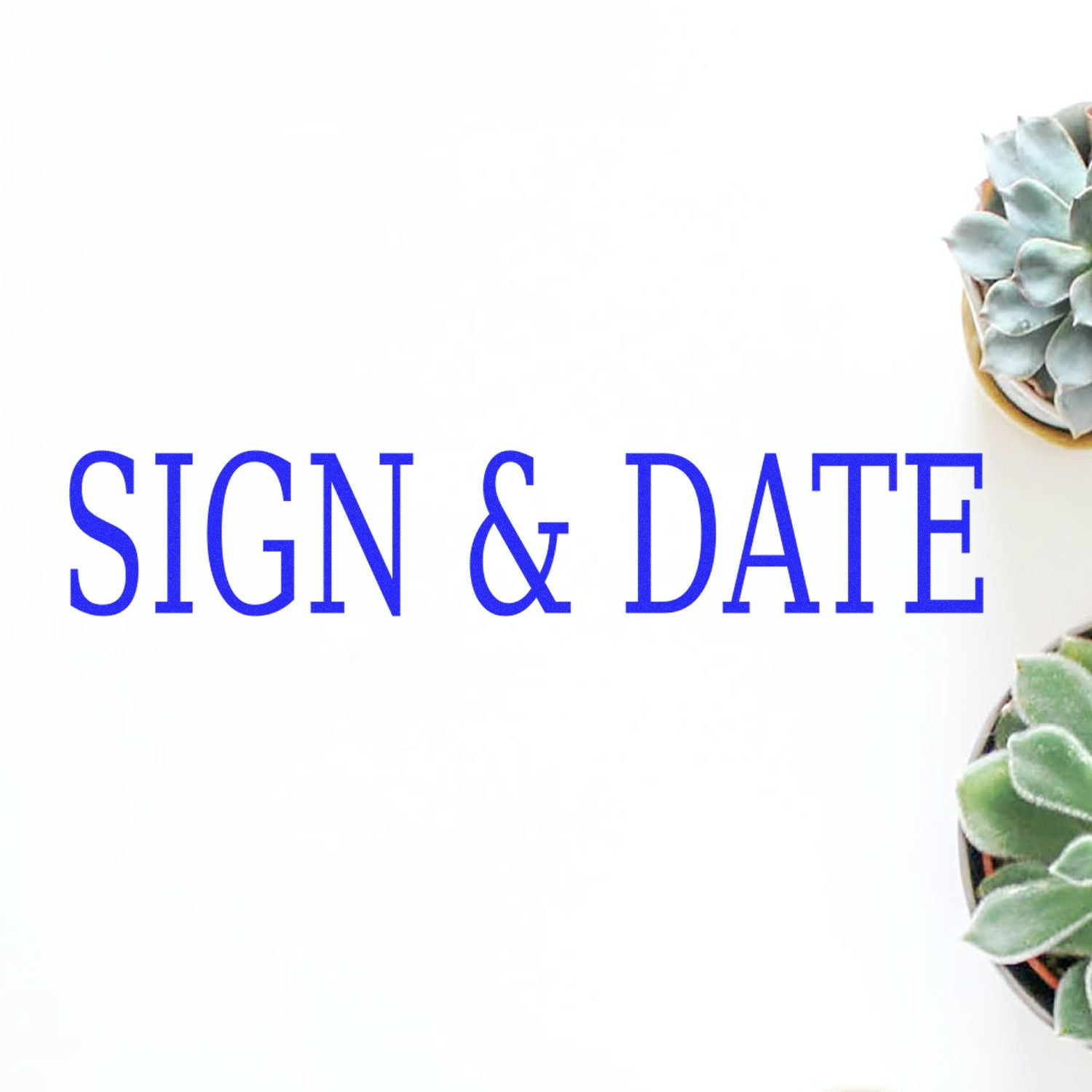 Sign & Date form reminder with decorative succulent, highlighting document signing and dating for compliance
