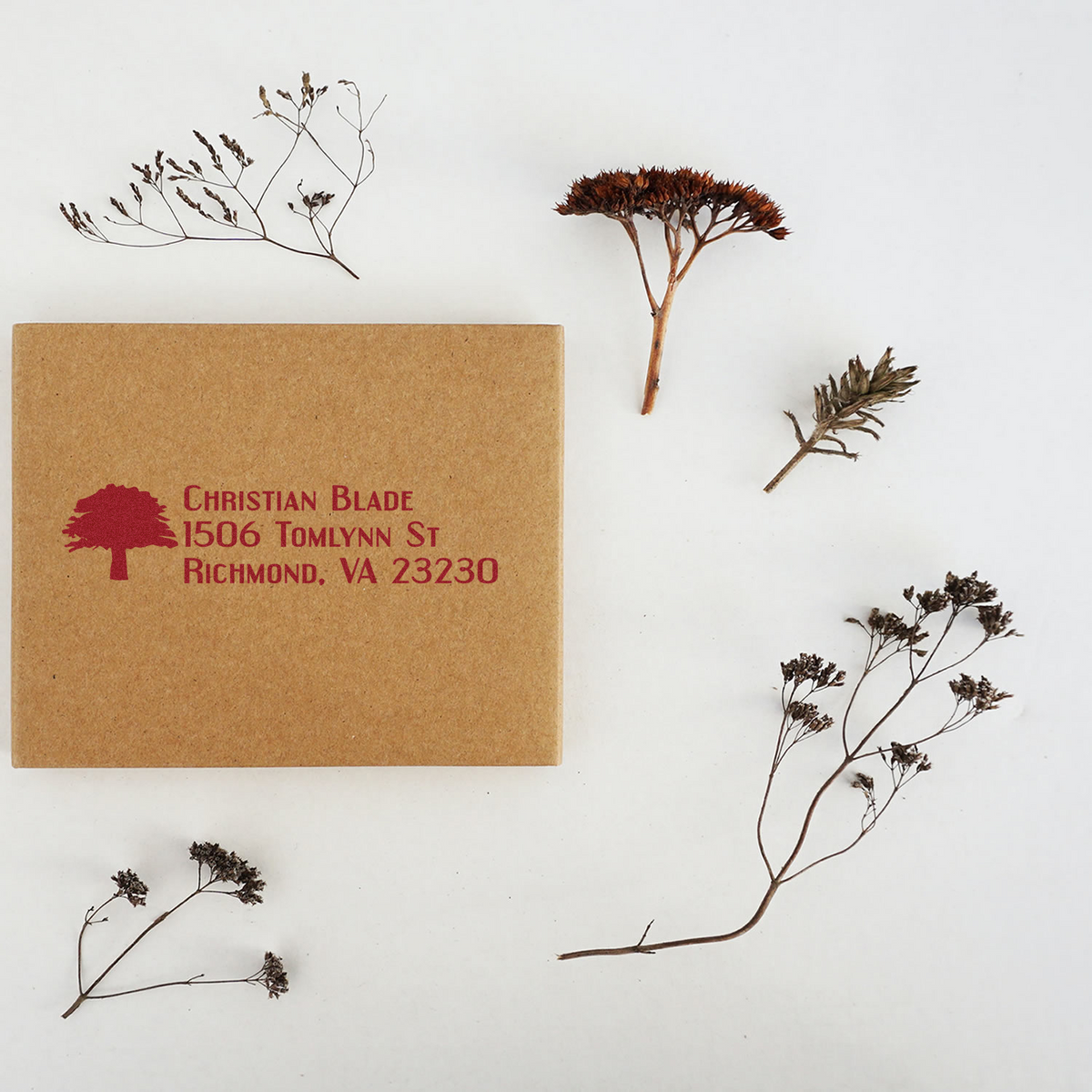 Personalized rubber address stamp with tree logo on kraft box, showing Christian Blades Richmond, VA return address.