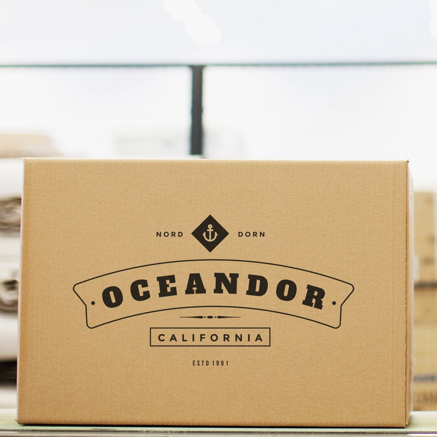 Ocean Dor California branded cardboard shipping box with logo on outdoor delivery surface, indicating packaged order delivery