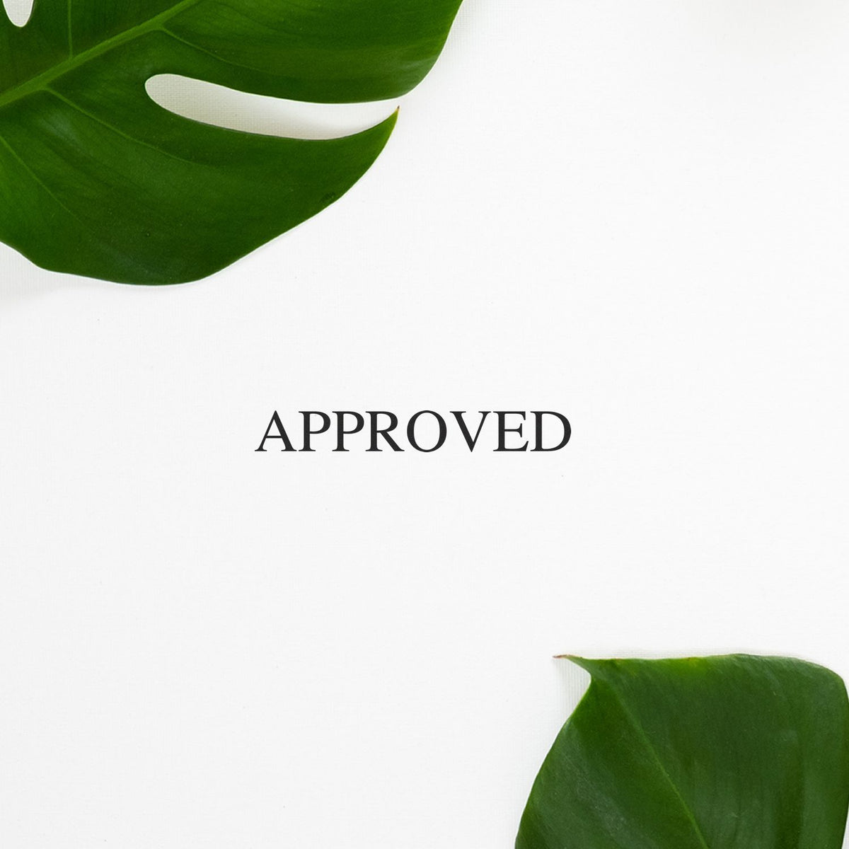 Approved label on a white background with green leaves, signaling eco-friendly certification or verification approval.