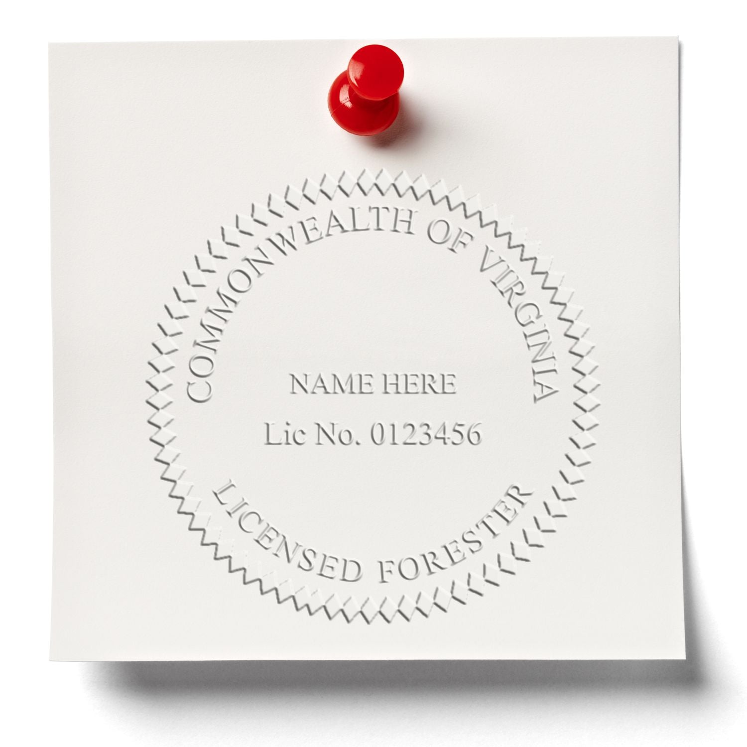 Embossed Commonwealth of Virginia licensed forester certificate pinned with a red pushpin on white paper.