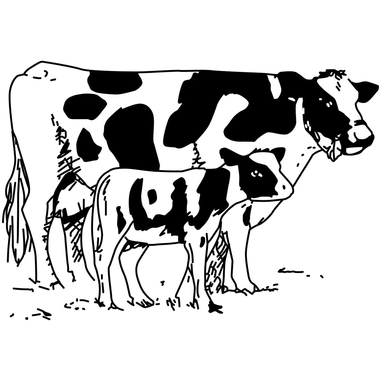 Black and white illustration of a Holstein dairy cow standing in side view.