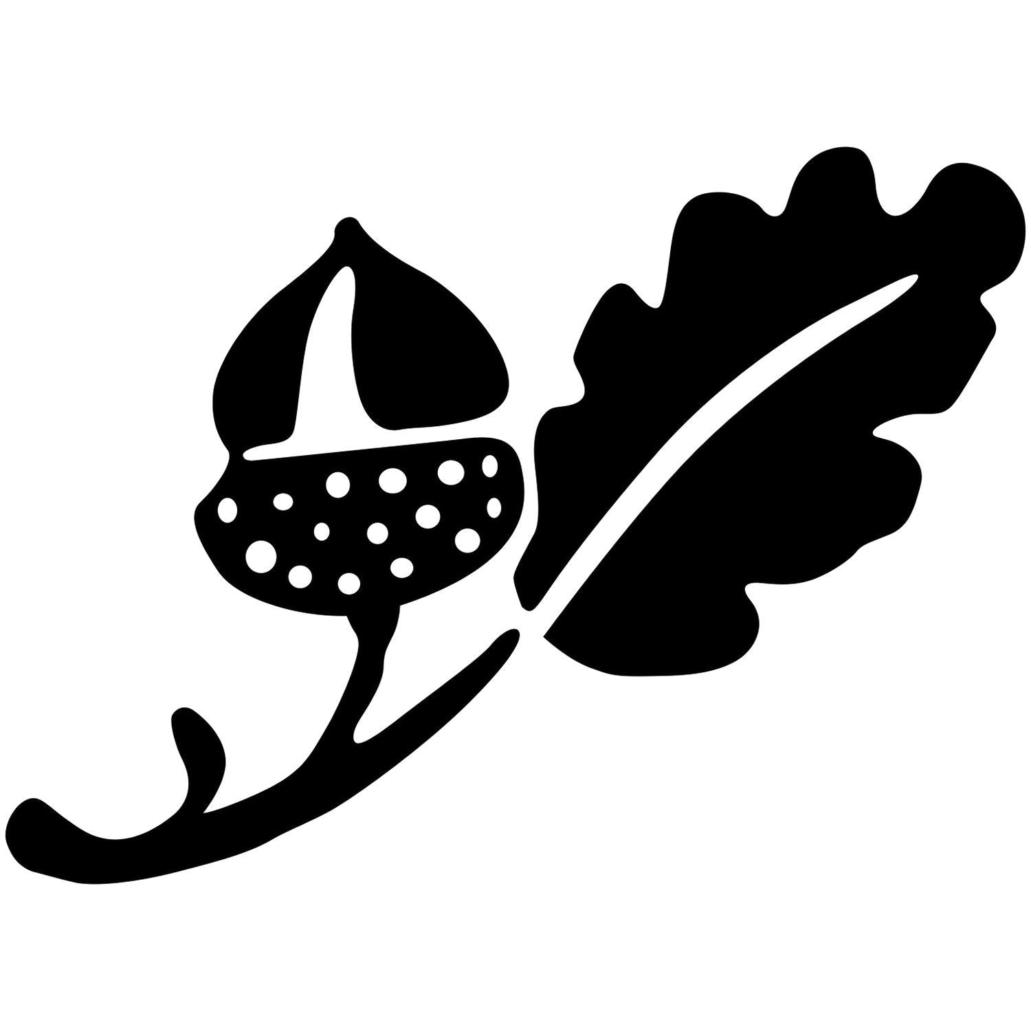 Black acorn and oak leaf silhouette botanical icon on white background
