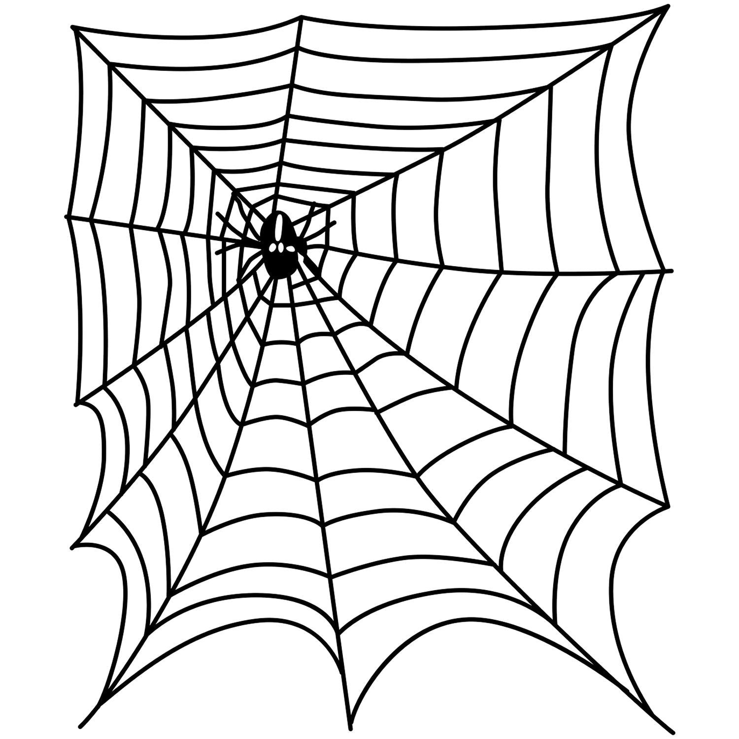 Black and white spider web illustration with a spider, Halloween web clipart design on white background.