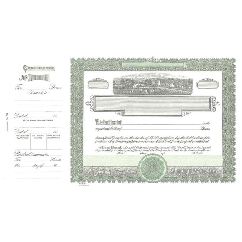 Vintage green stock certificate document with ornate border, signatures, and shareholder textformal proof of ownership and shares.