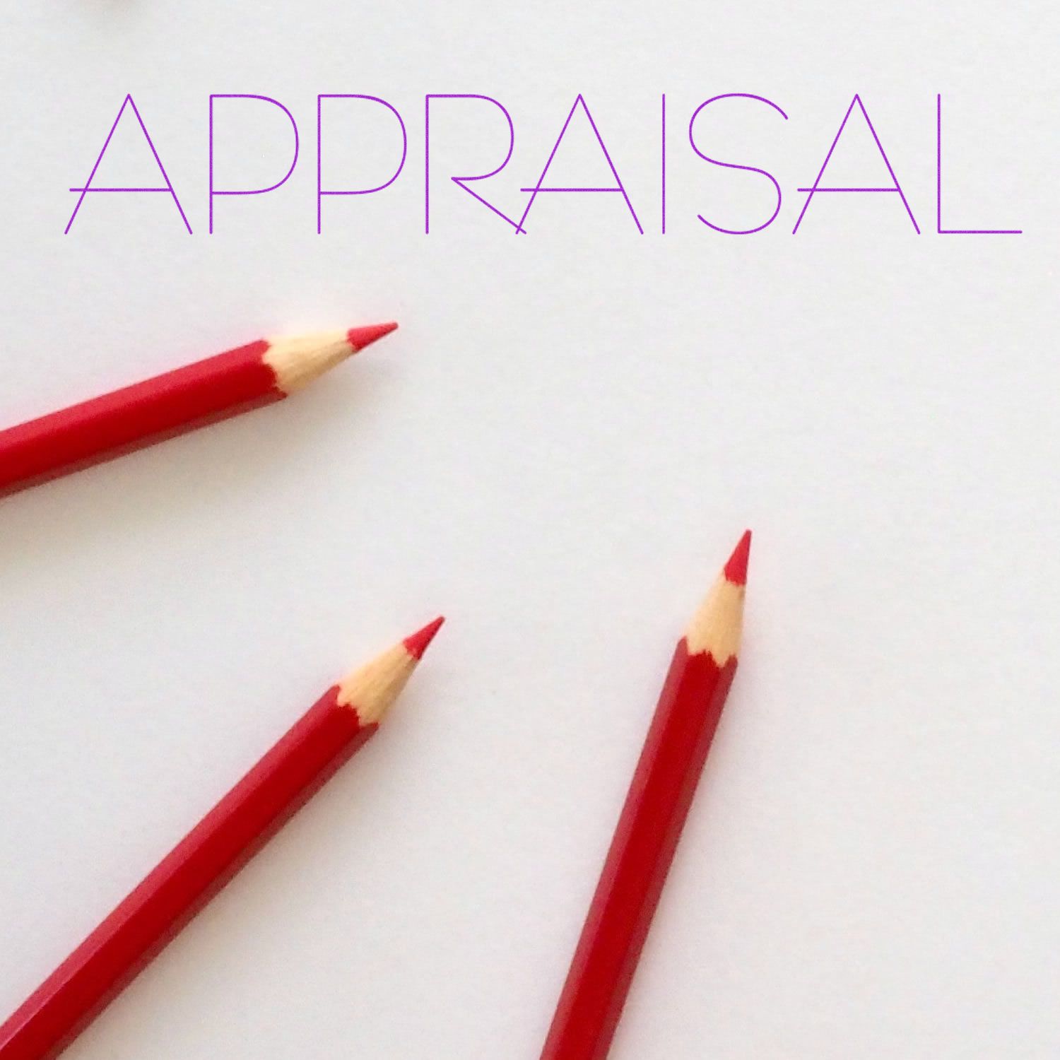 Appraisal word art with red pencils on white background, concept for valuation and assessment.