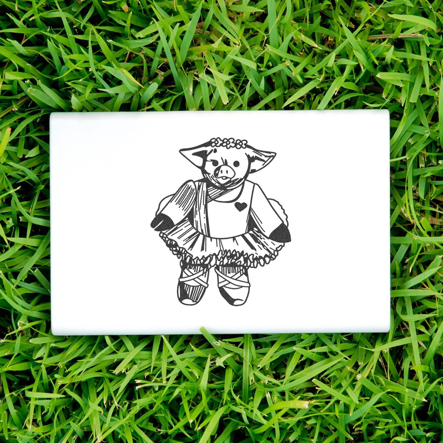 White laptop on green grass featuring a cute pig ballerina illustration.