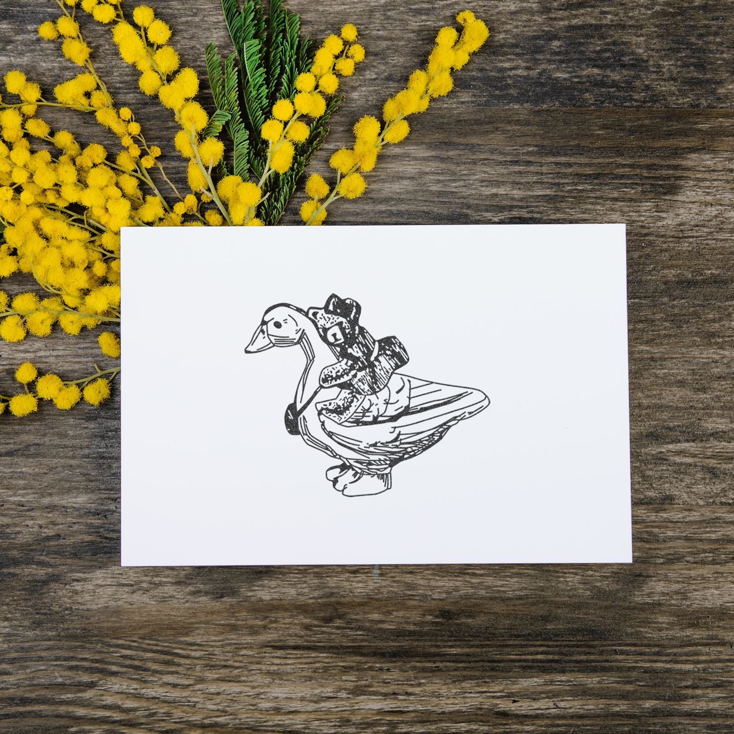 White greeting card with a black duck illustration, surrounded by yellow mimosa flowers on a rustic wooden background.