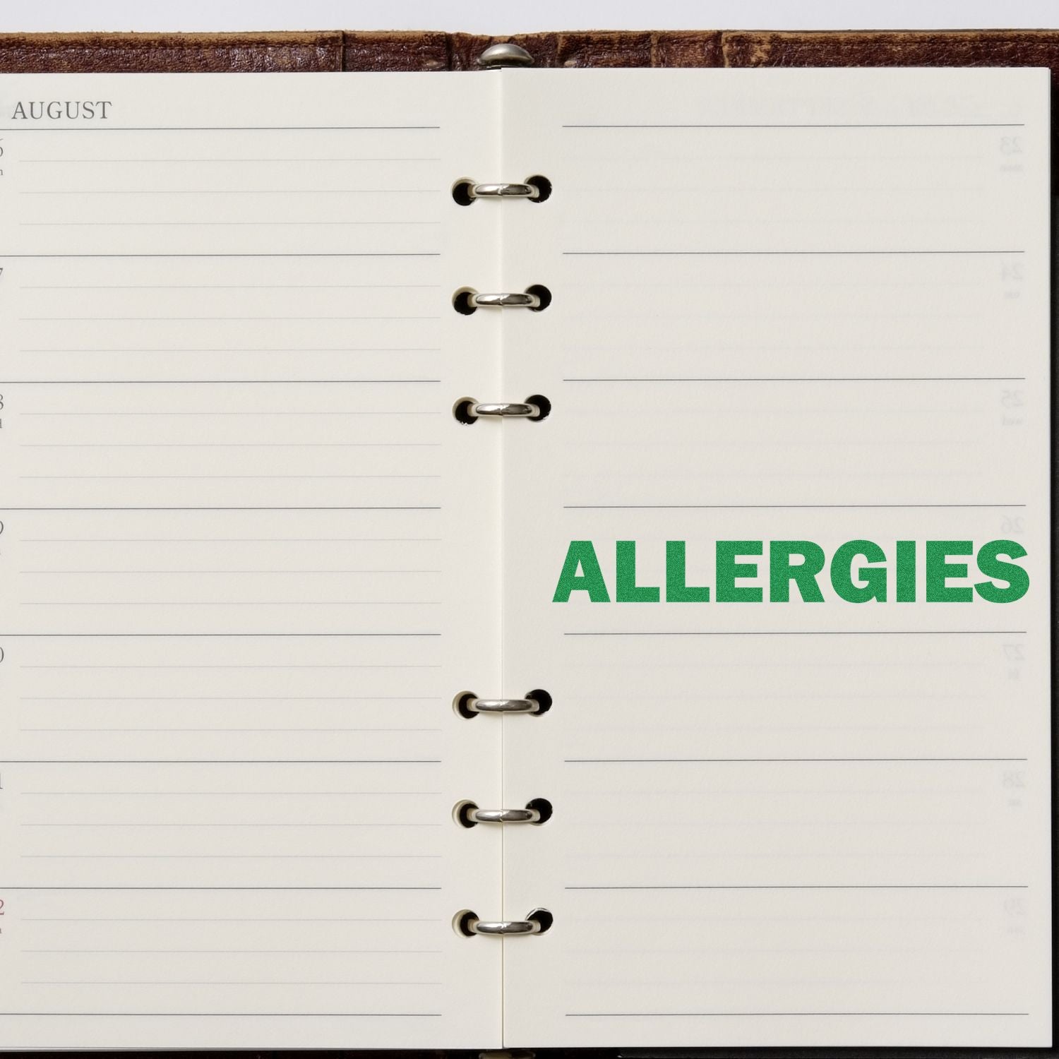 Open August planner pages with a weekly calendar layout and a green Allergies section in a ring-bound organizer.