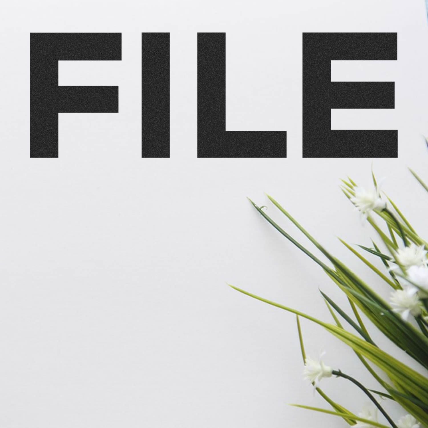 Minimalist FILE wordmark in black typography on white background with fresh white flowers, clean design layout space
