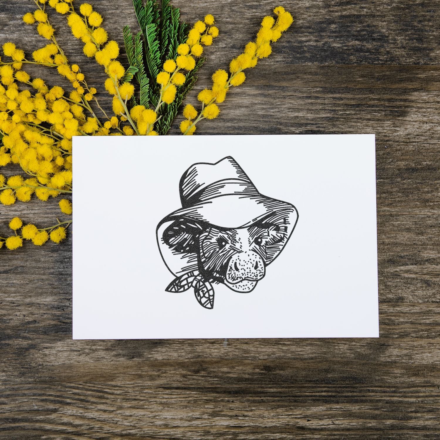 White greeting card with a black bear line drawing, surrounded by yellow mimosa flowers on a rustic wooden background.