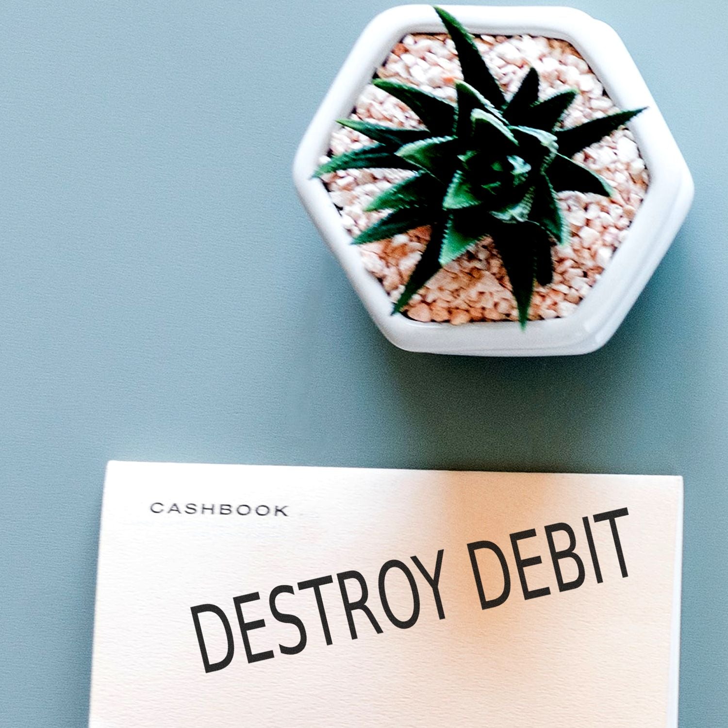 Cashbook with Destroy Debt text beside a small potted plant, symbolizing debt reduction and financial planning.