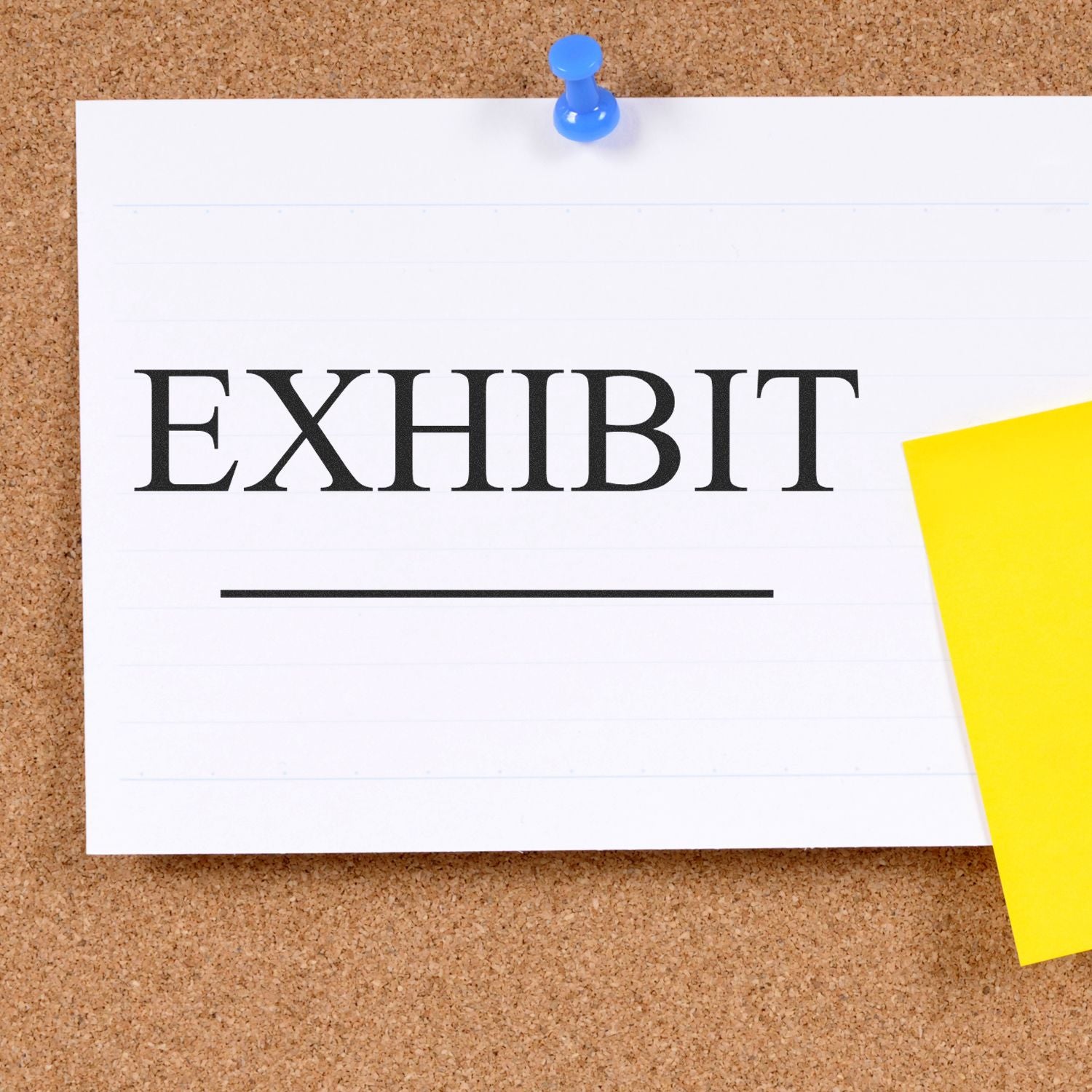 Pinned document titled EXHIBIT on cork board with blue pushpin, highlighting exhibition or legal evidence text.