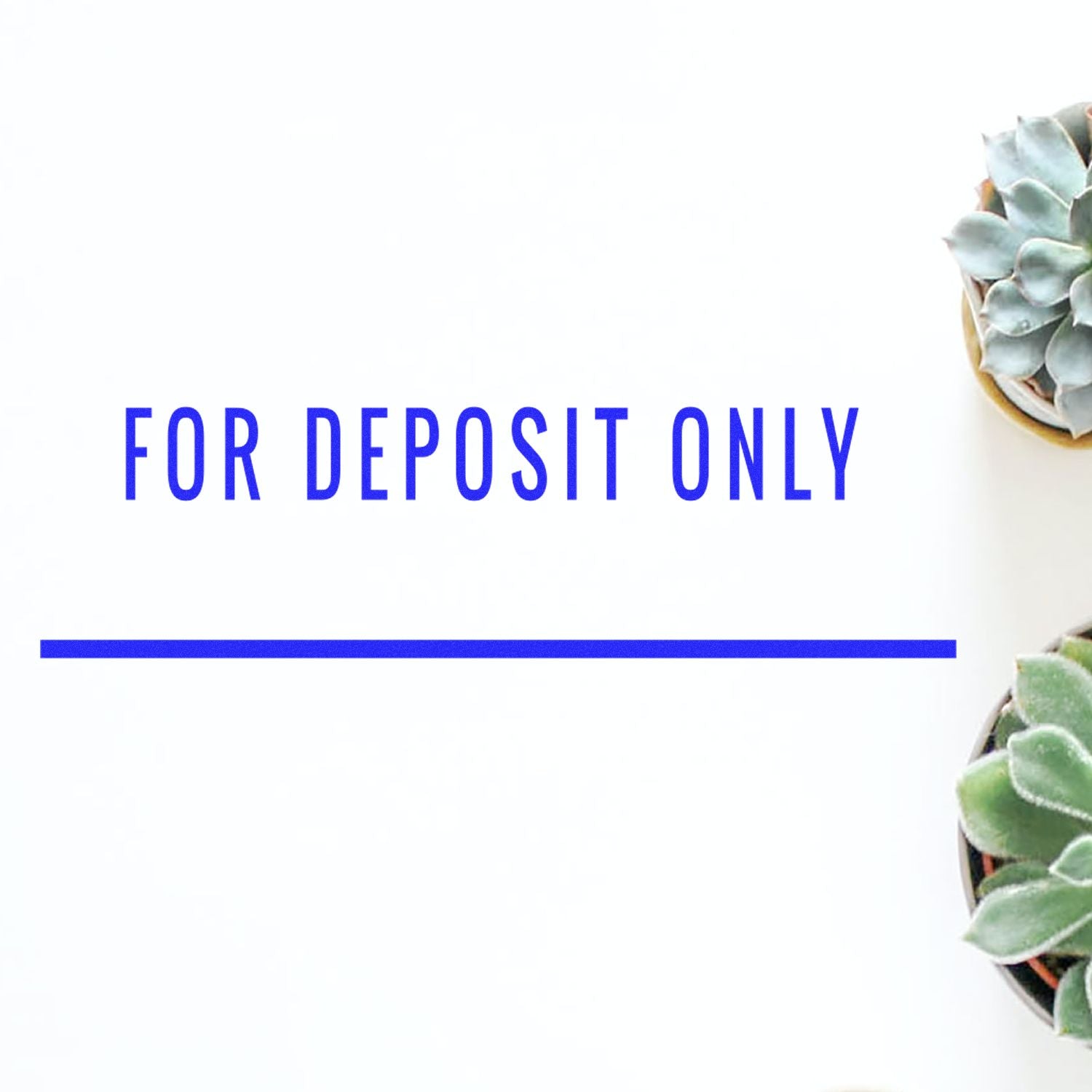 Blue For Deposit Only bank deposit sign with succulent plant, indicating where checks and money should be deposited.