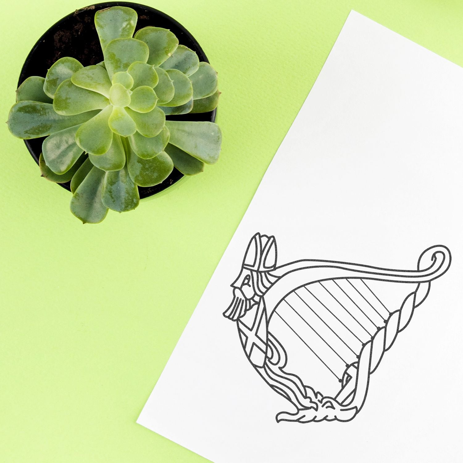 Top view of a potted succulent plant on a lime green background beside a minimalist line art perfume bottle sketch on white paper.