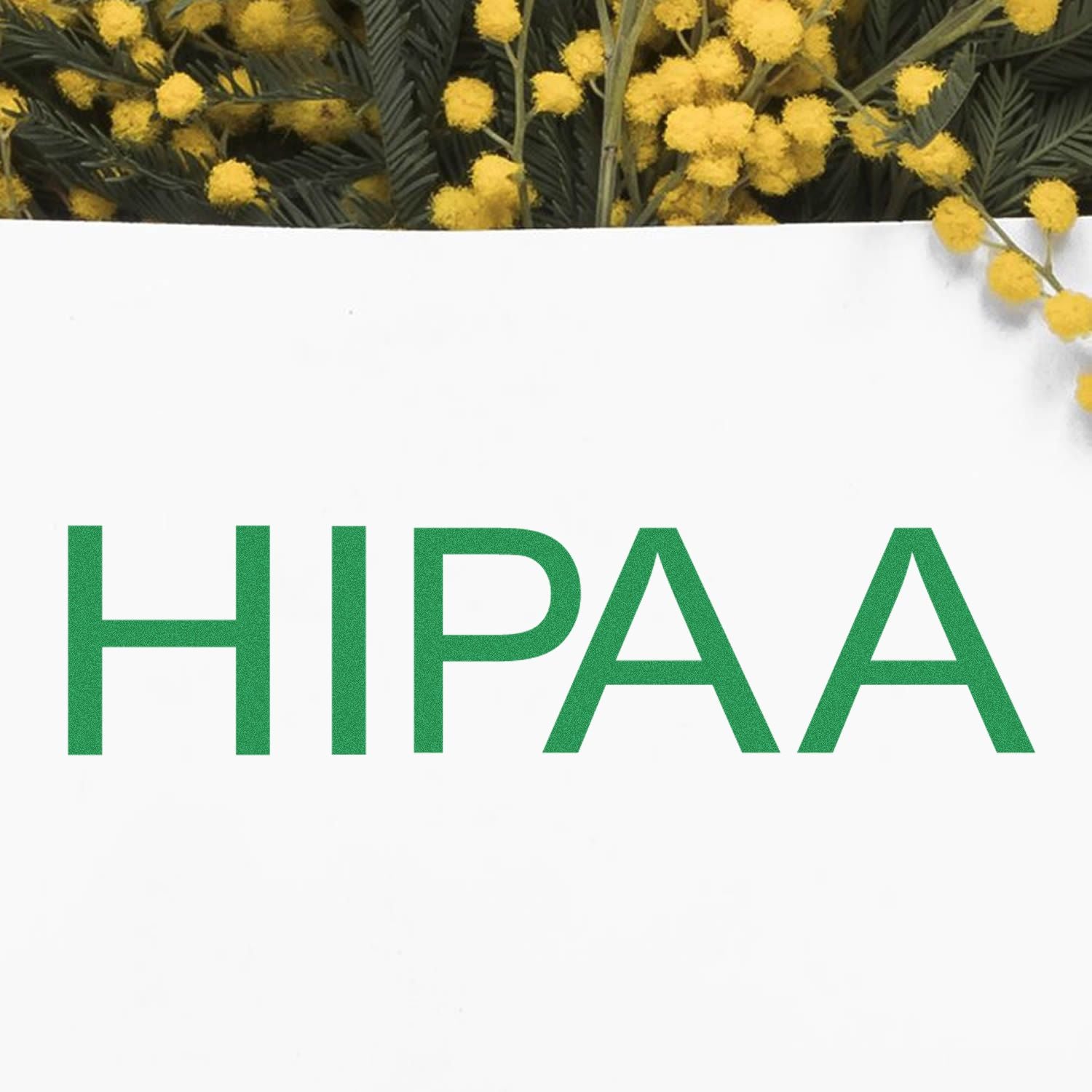 HIPAA compliance header with mimosa yellow flowers, promoting Health Insurance Portability and Accountability Act privacy awareness.