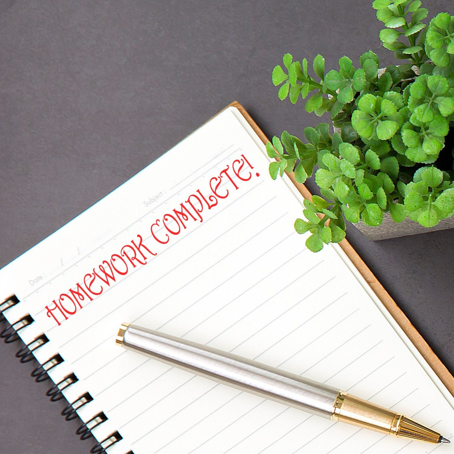 Homework on open notebook with pen and leafy plant, promoting at-home study planning, assignments, and school learning productivity.