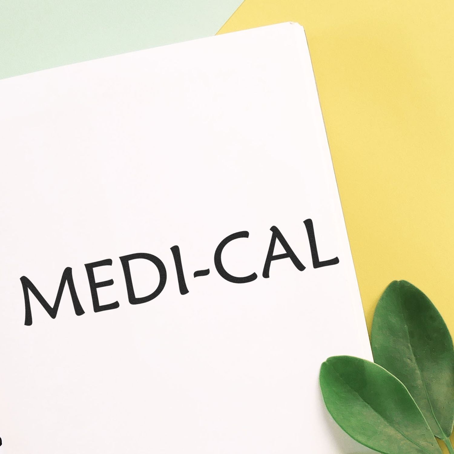 Medi-Cal health coverage sign on pastel background with green leaves.