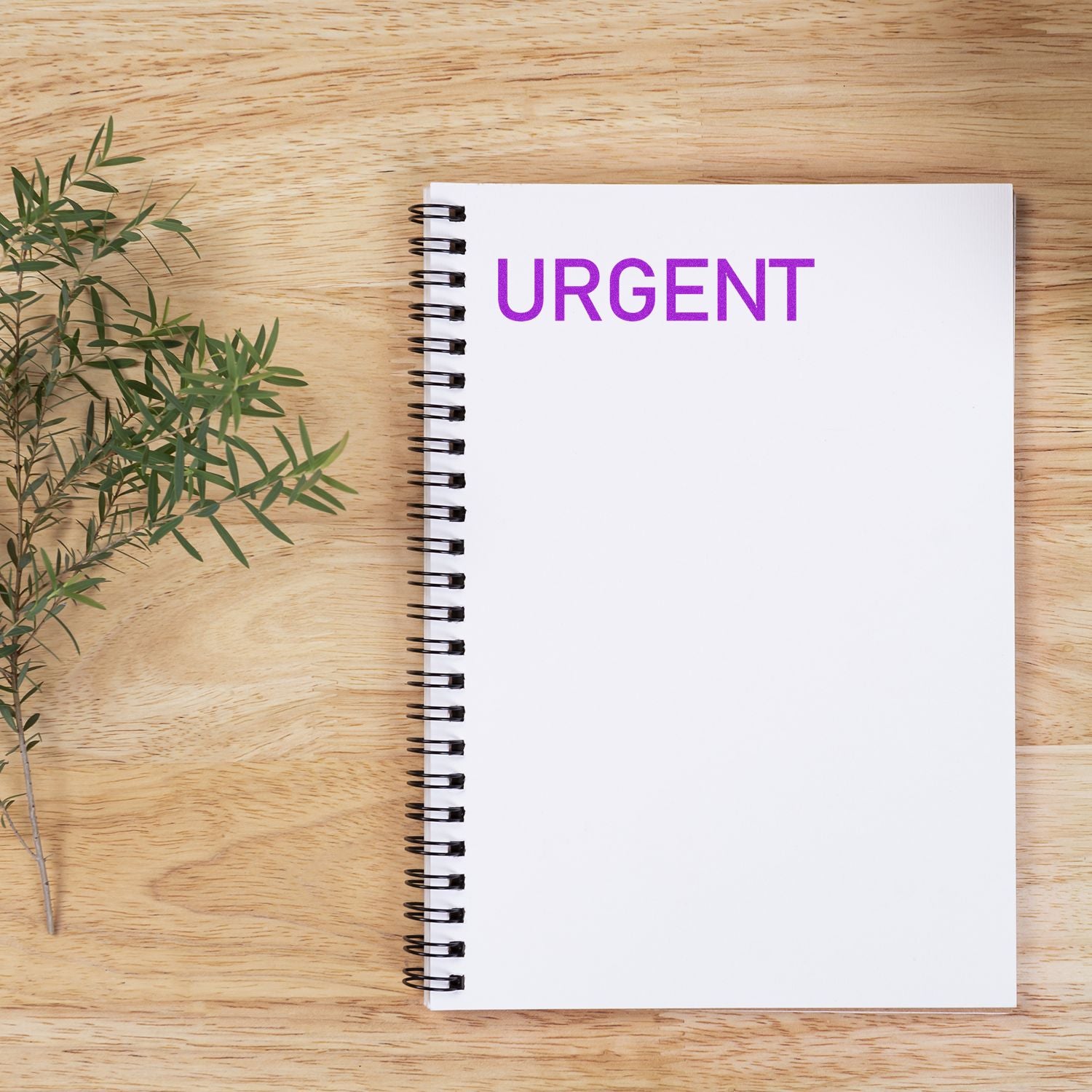 Urgent handwritten note in spiral notebook on wooden desk with green plant, business deadline concept.