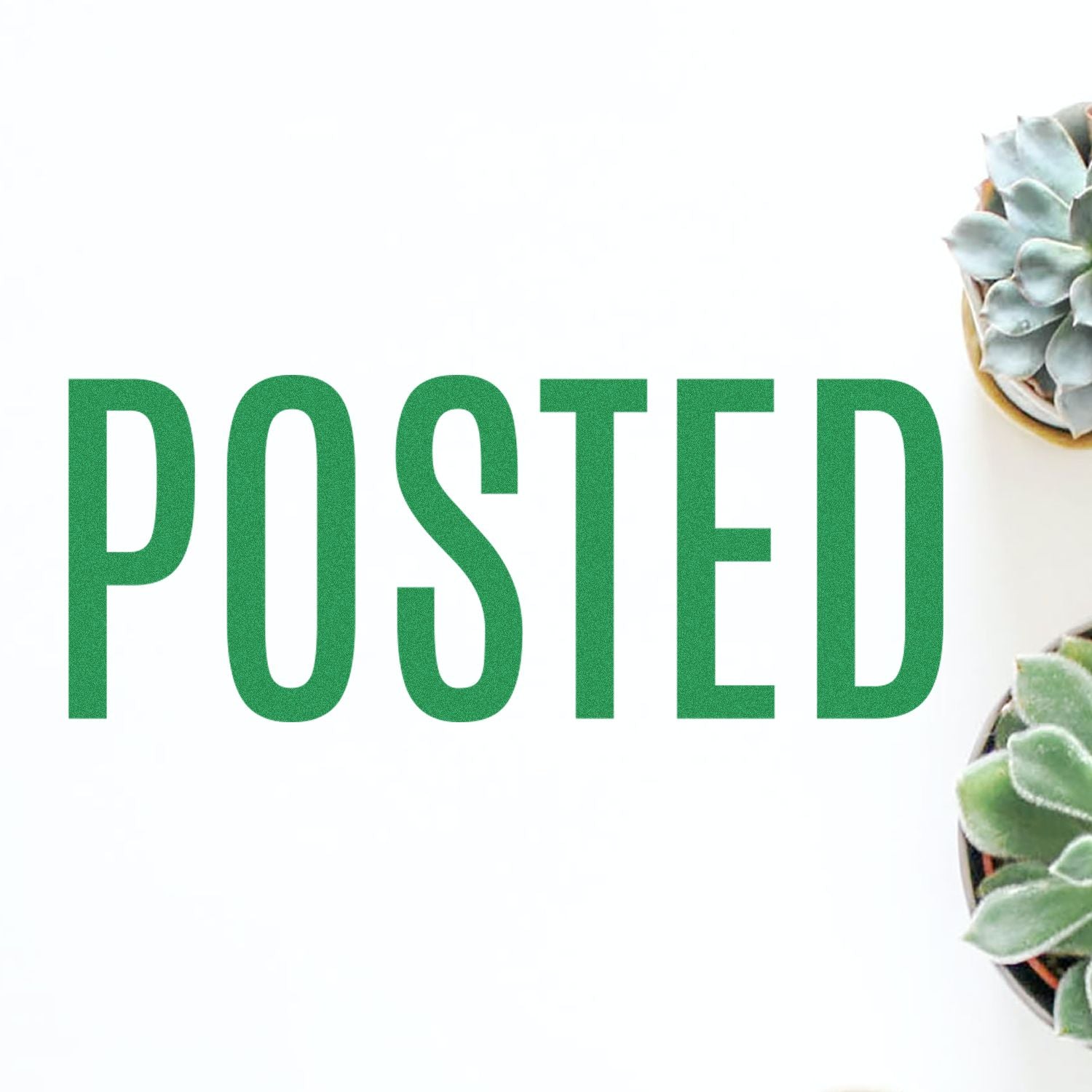 Green POSTED text on a white background with succulent plants on the right side, modern social media post template.