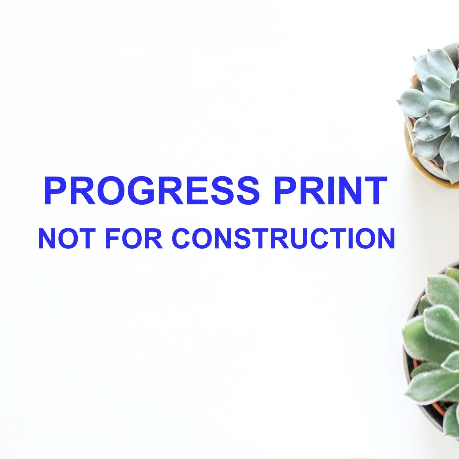 Progress print not for construction text on white background with succulent plants, architectural plan notice.