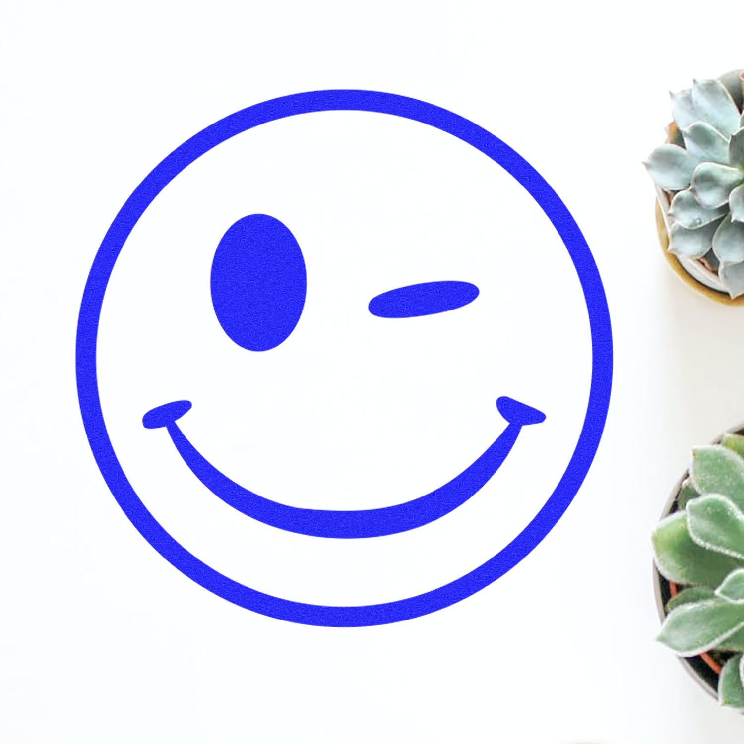 Blue winking smiley face logo on a white background with succulents on the side