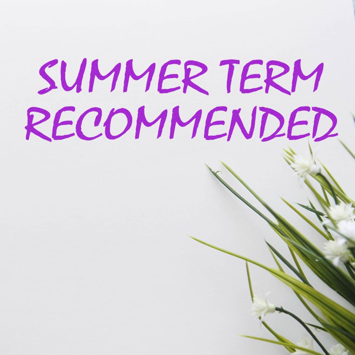 Summer term recommended notice with purple text over white background and dandelion flowers, summer school seasonal announcement.