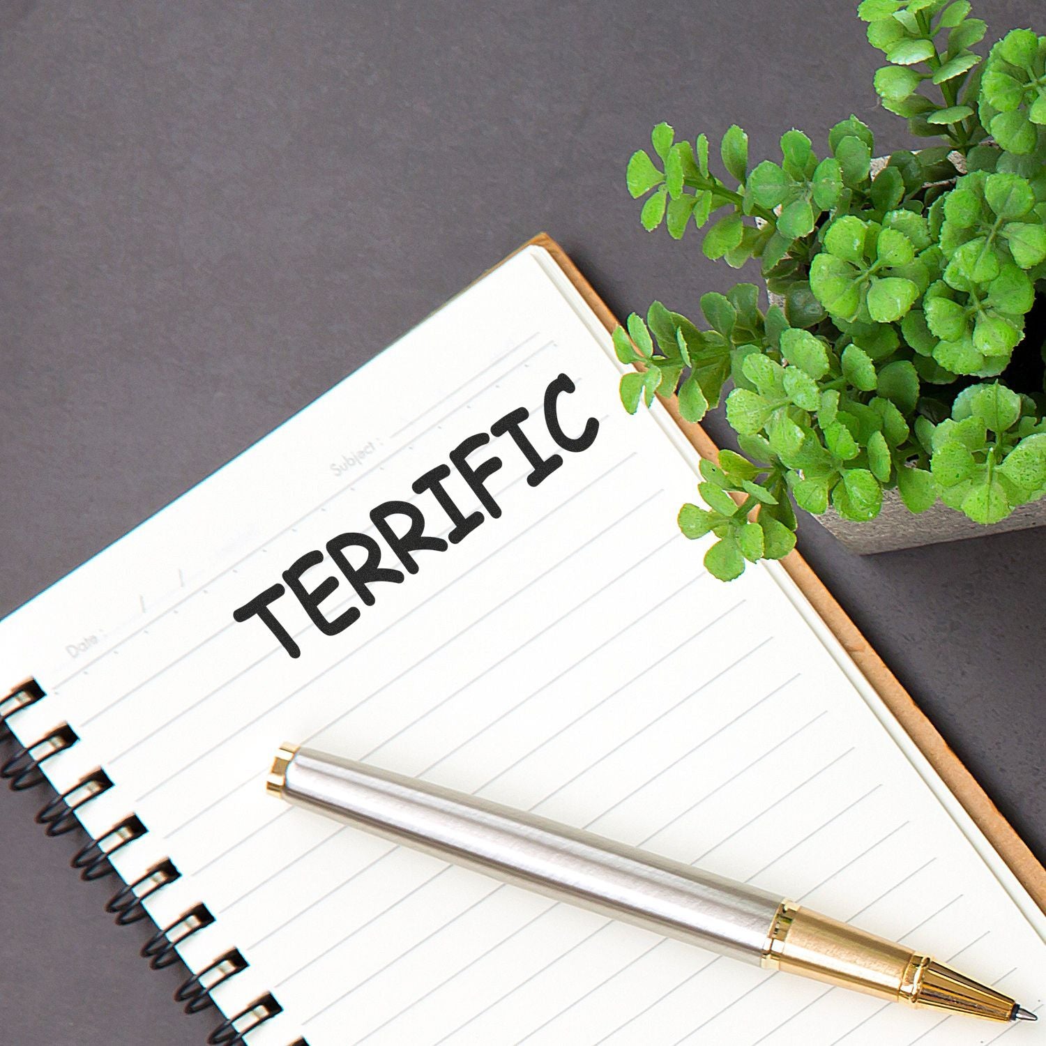 Terrific motivation notebook with pen and green plant on desk, inspirational workspace concept.