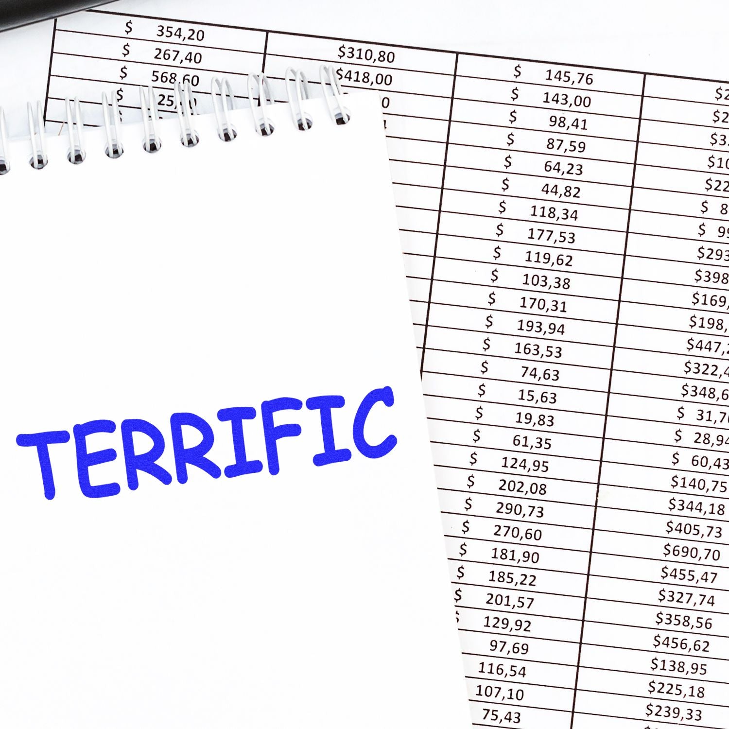 Blank spiral notebook with TERRIFIC on a financial spreadsheet showing dollar amounts and budget data.
