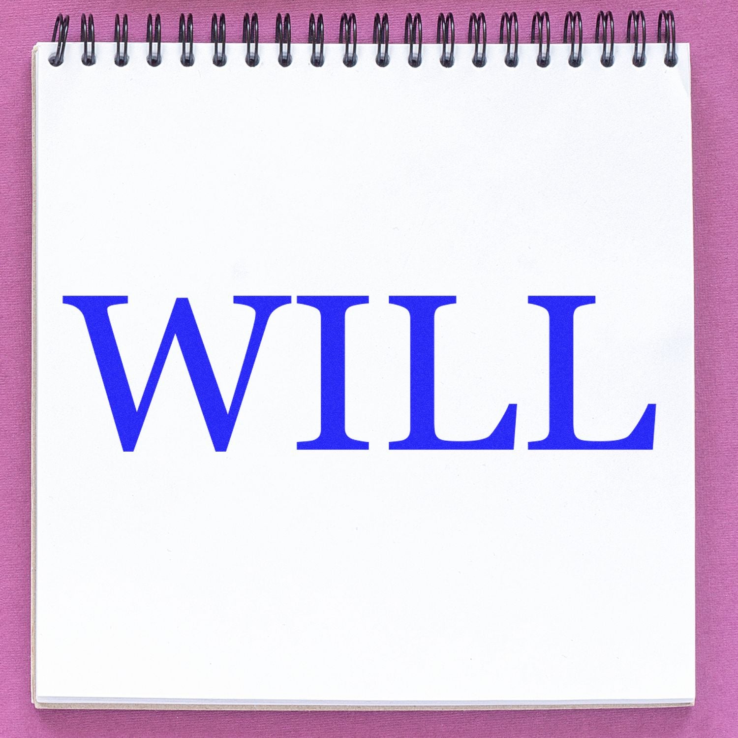 Spiral notebook with bold blue WILL text on a pink background.