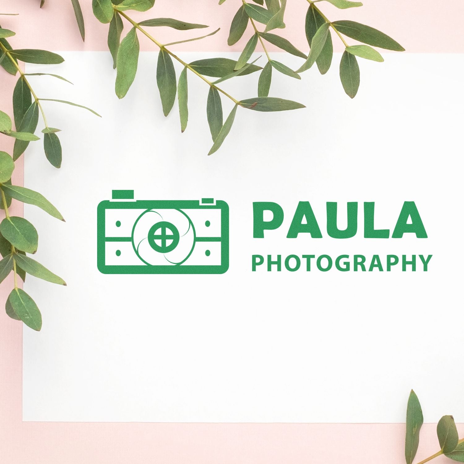 Paula Photography logo with camera icon over eucalyptus leaves on soft pink and white background, branding banner for portrait photography services.