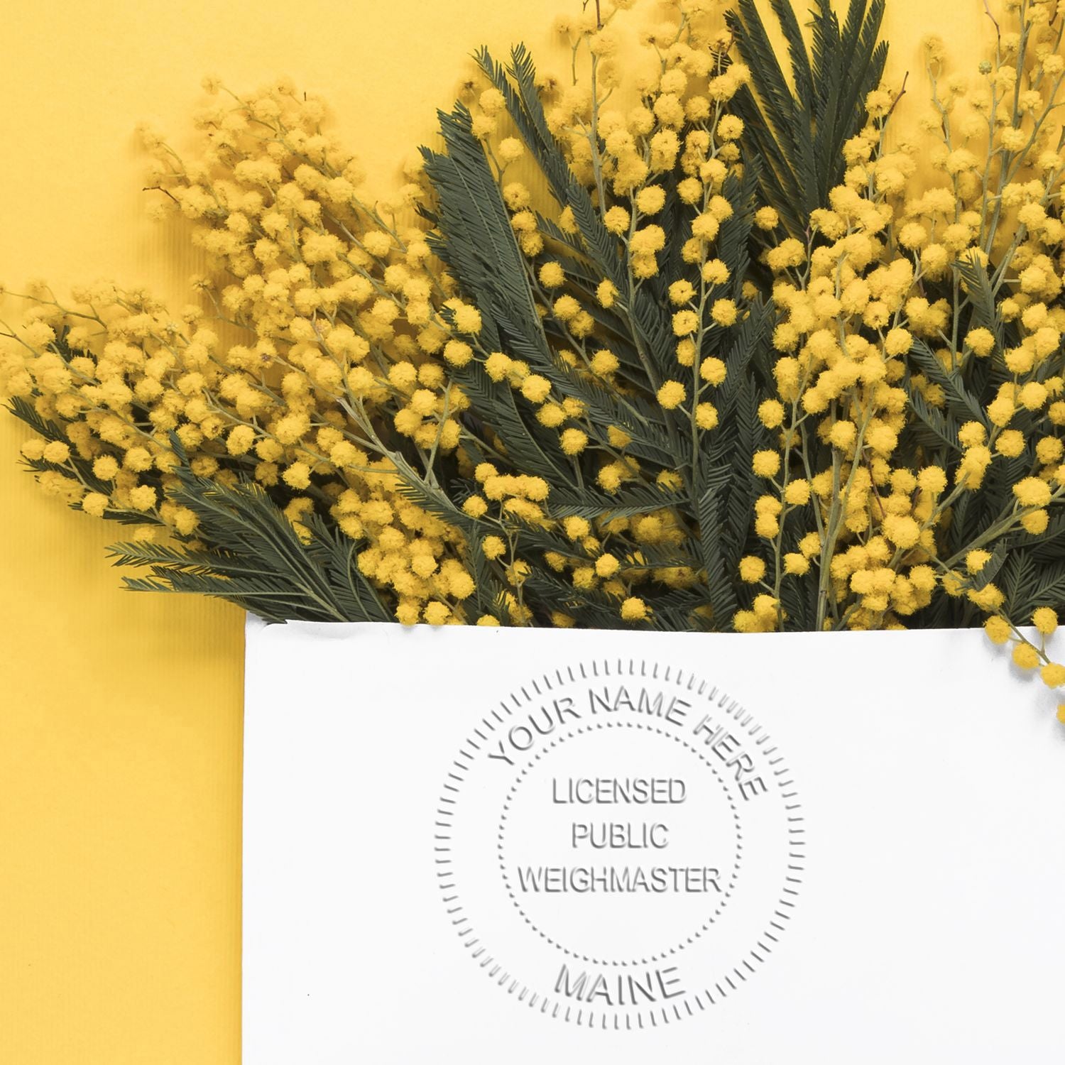 Yellow mimosa flowers and green foliage in a white paper bag against a yellow background, featuring a licensed public weighmaster Maine stamp.