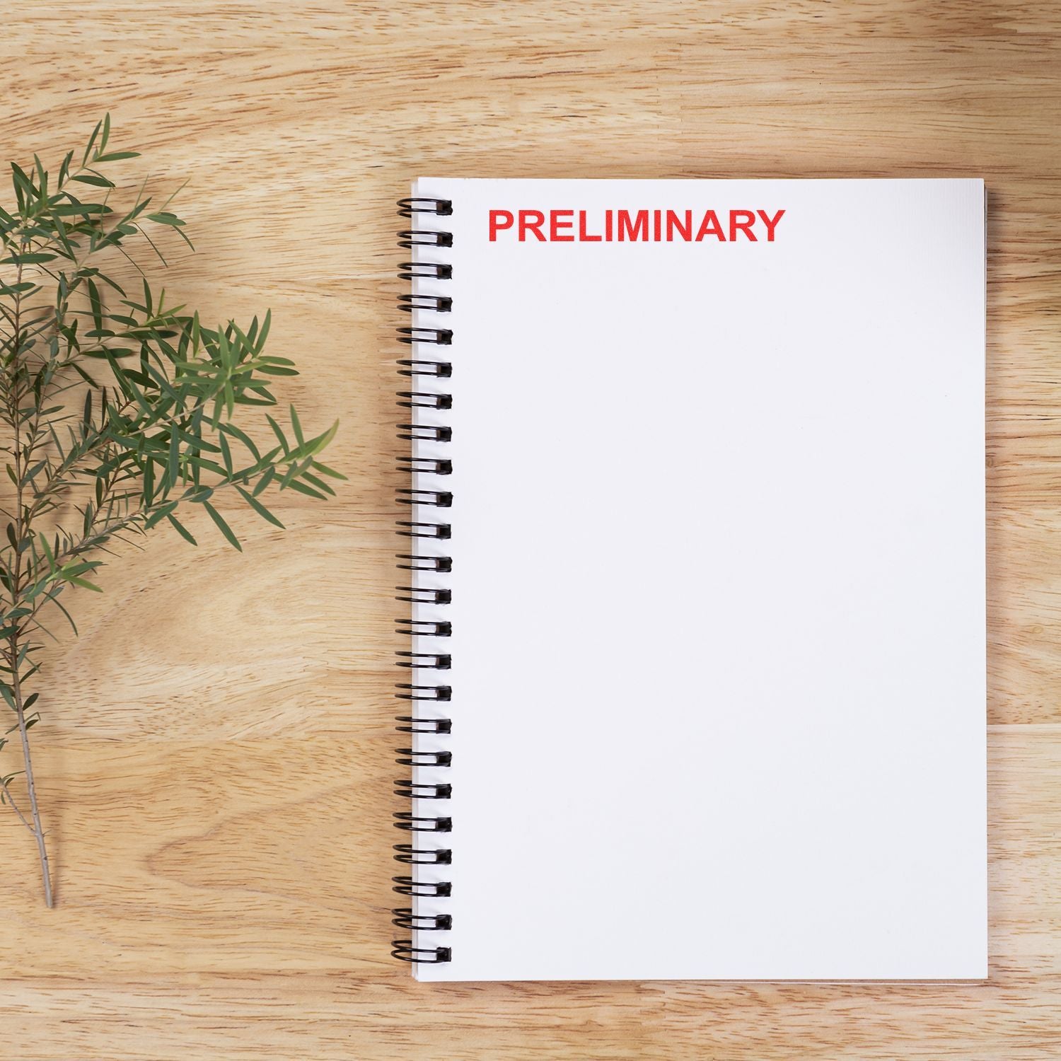 Blank spiral notebook with PRELIMINARY text on a wooden desk beside green leaves, office planning concept.