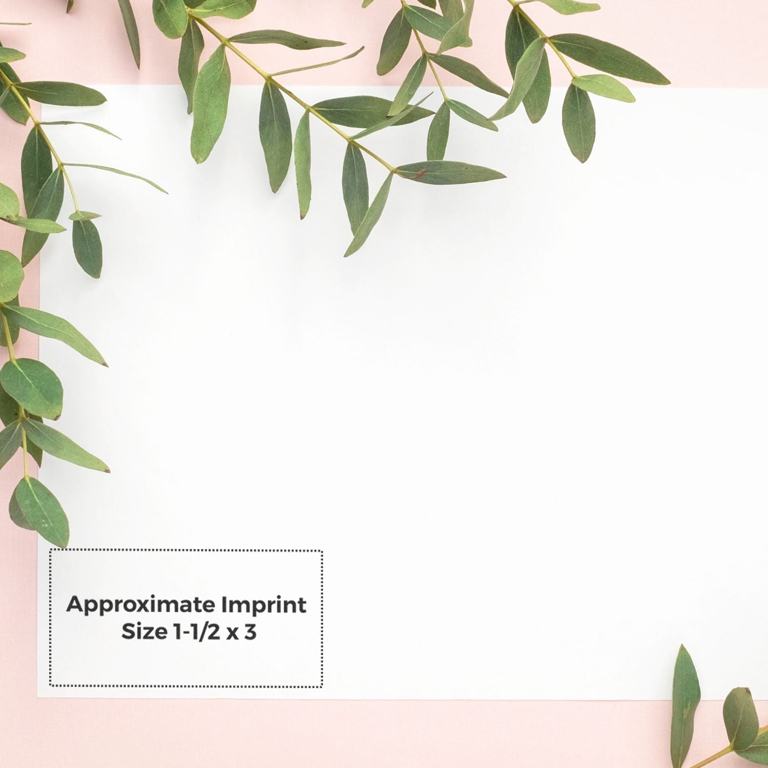 Green eucalyptus leaves on pink background with imprint placement box labeled approximate imprint size 1-1/2 x 3