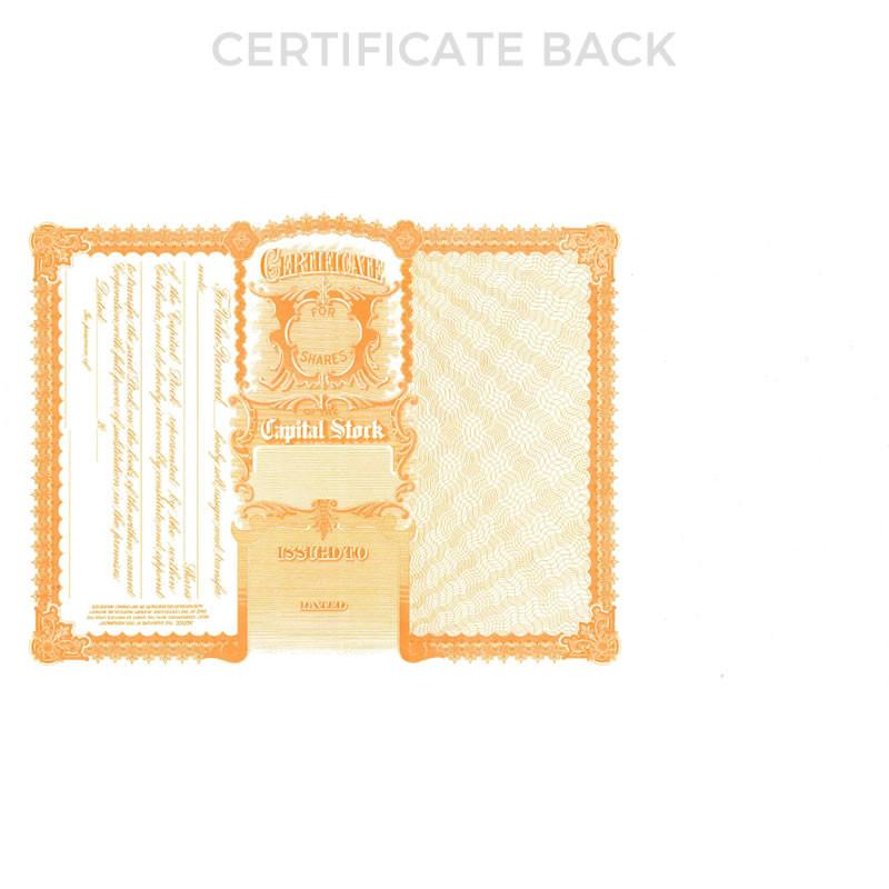 Back side of a capital stock certificate with ornate border, Certificate heading, and issuance detailsshares document template.