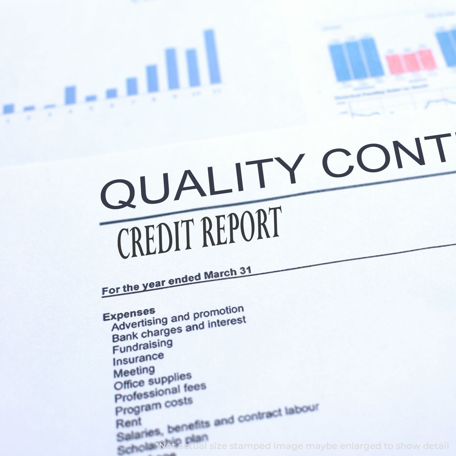 Credit report document showing financial charts and expenses for assessing credit risk and quality of financial health