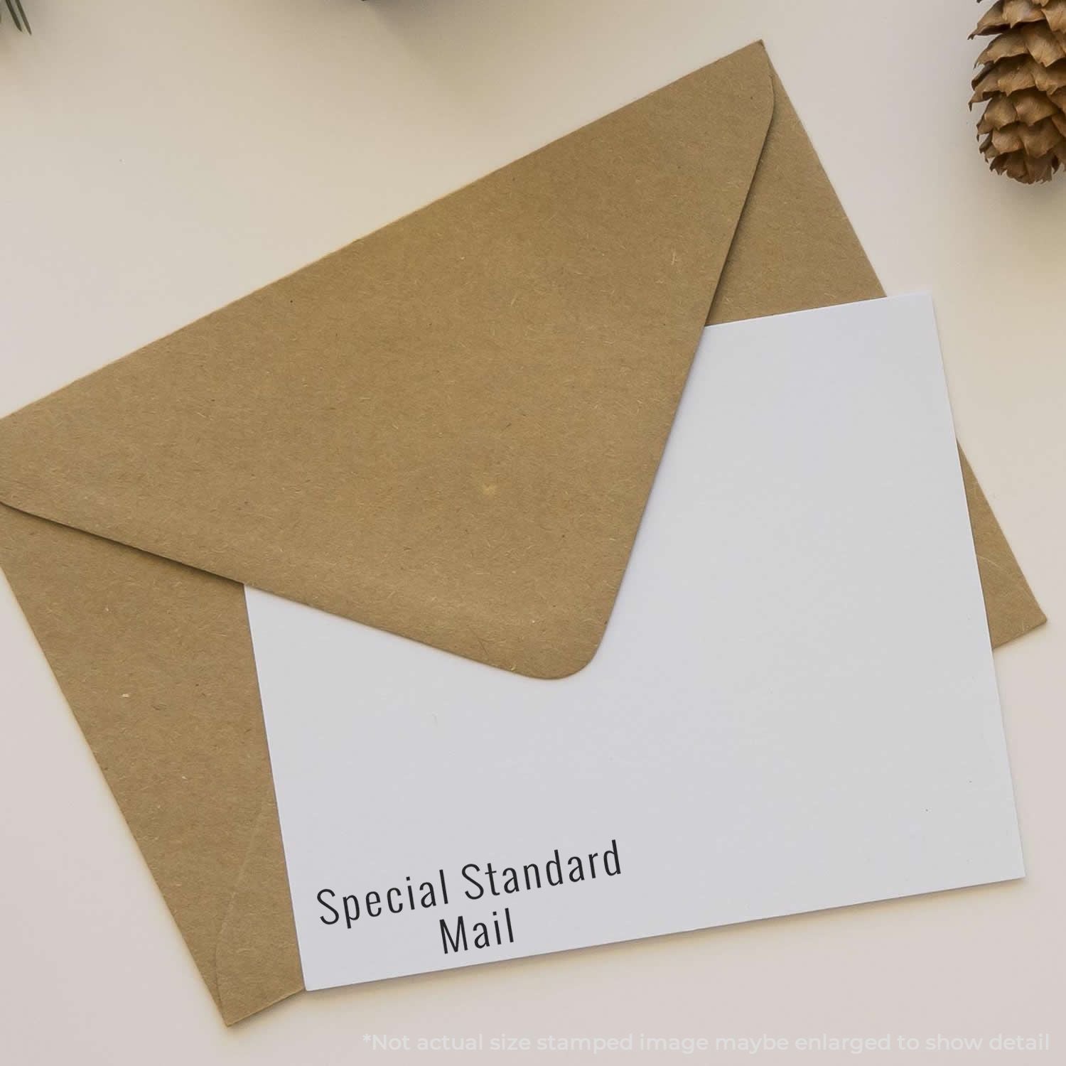 Kraft envelope with Special Standard Mail label, representing branded postal delivery service packaging.
