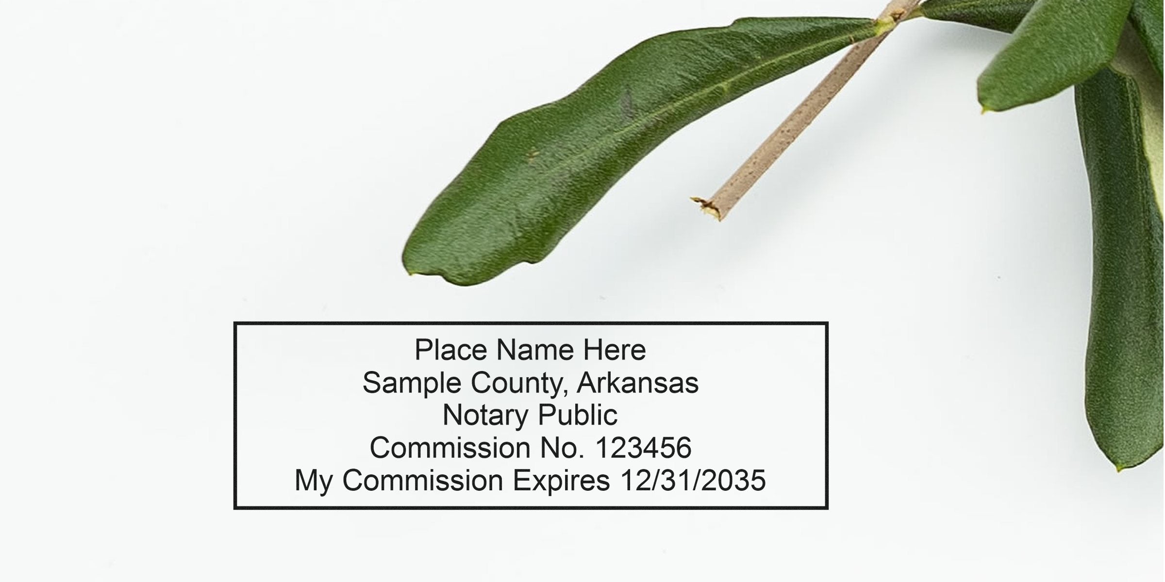 Arkansas notary public commission certificate with expiration date, green leaves on white background, Arkansas notary stamp, and notary requirements.