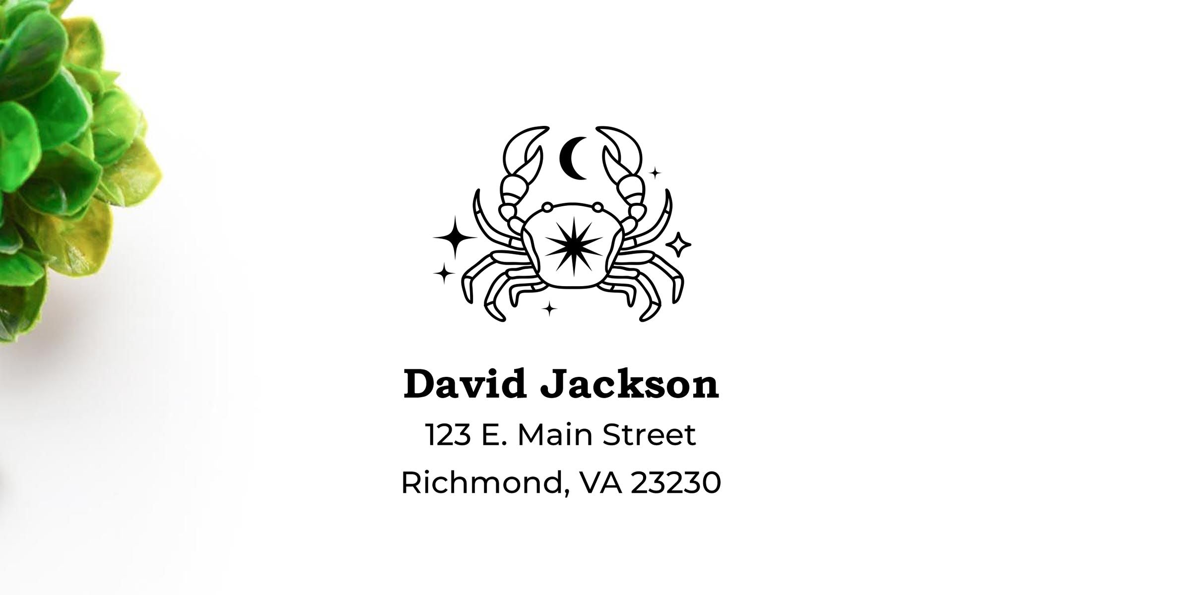Minimalist crab logo with moon and stars above David Jackson, 123 E. Main Street, Richmond, VA 23230 on a clean white background