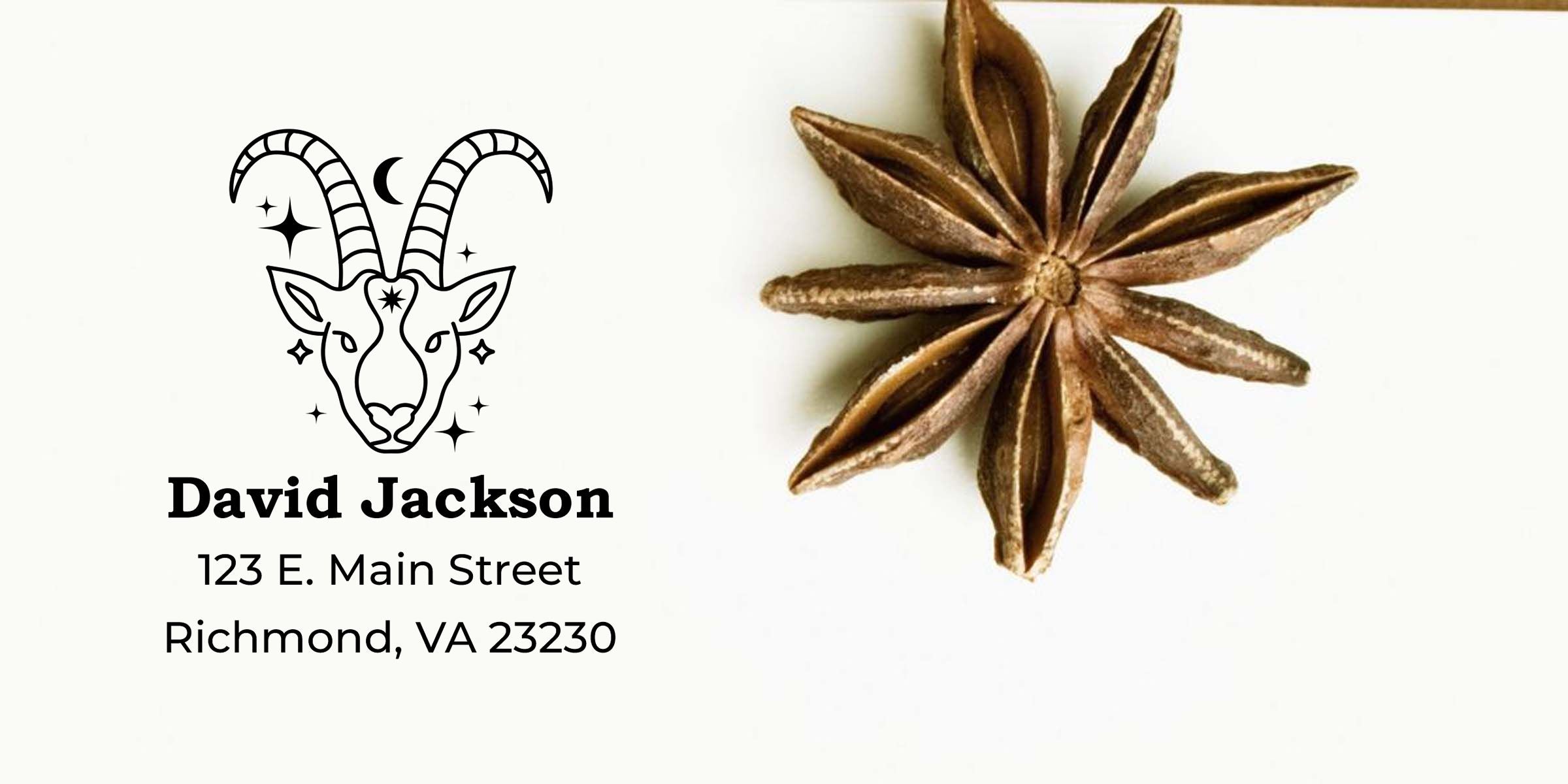 David Jackson business card with ram head logo and star anise spice, listing 123 E. Main Street, Richmond, VA 23230